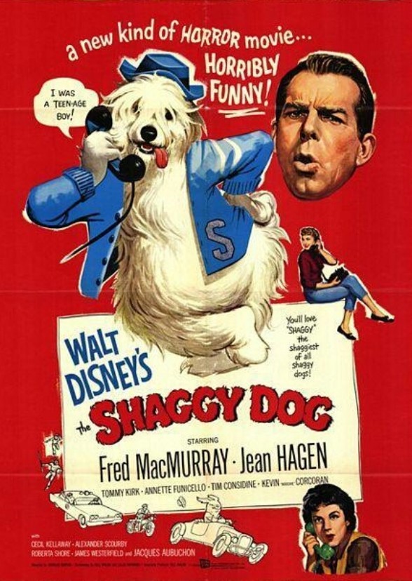 The Shaggy Dog (Reboot)