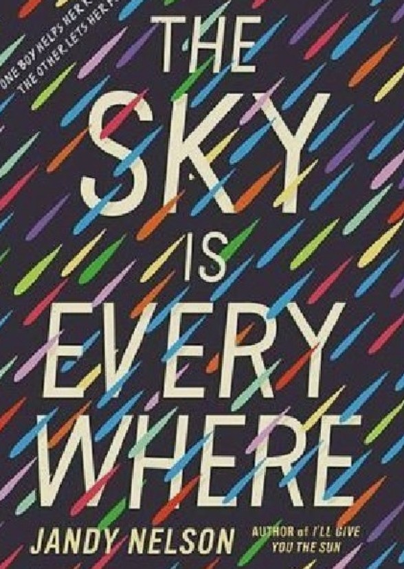 The Sky is Everywhere 