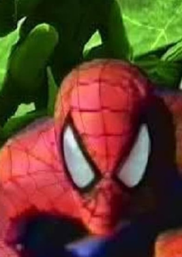 The Spectacular Spider-Man 3