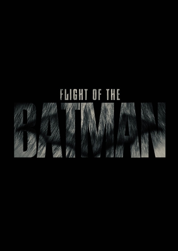 FLIGHT OF THE BATMAN [My Batman Trilogy Chapter 1]