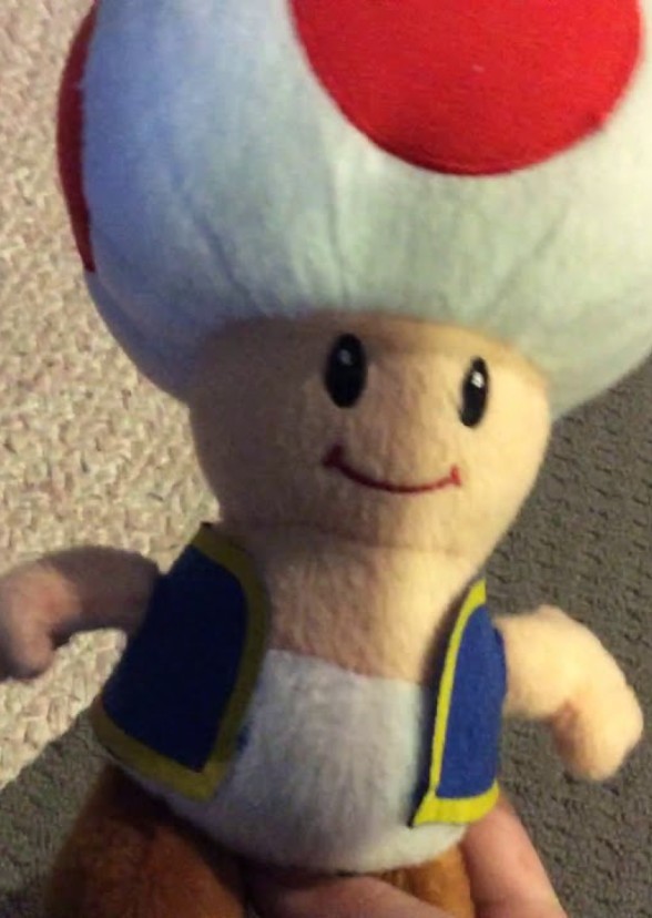 The Super Toad Caleb Movie
