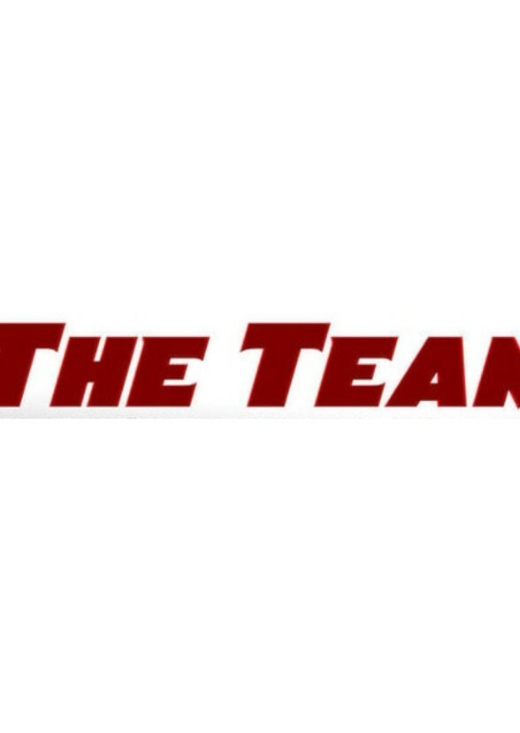 The Team 