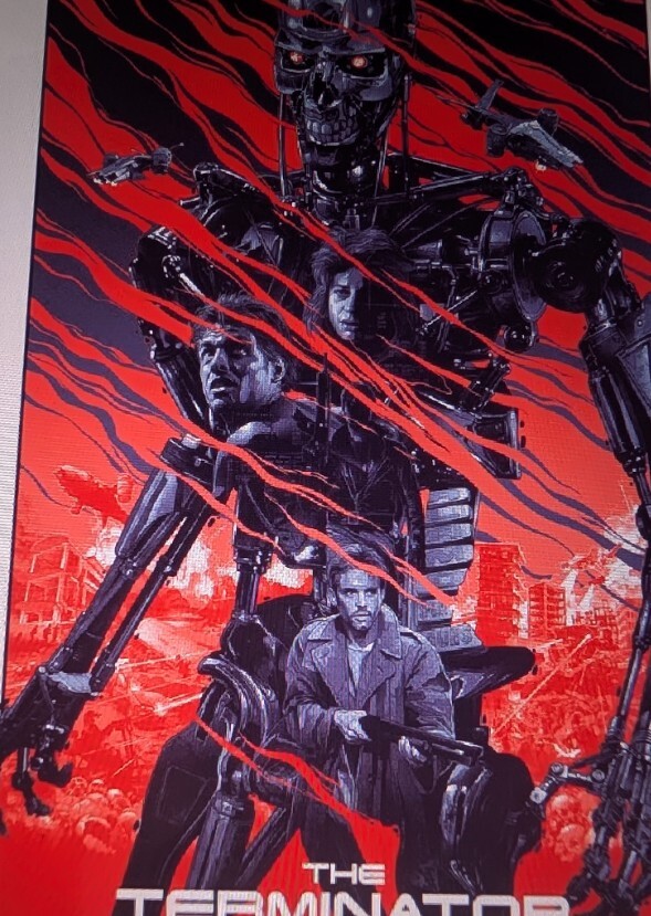 The Terminator Duology (2014-2021)
