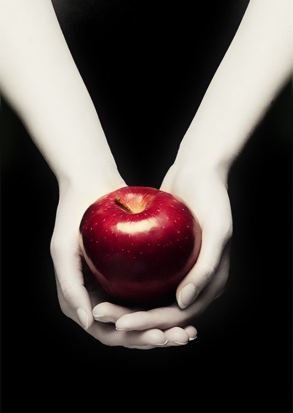 The Twilight Saga