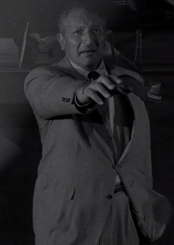 The Twilight Zone (1990s) 3x2 - The Arrival
