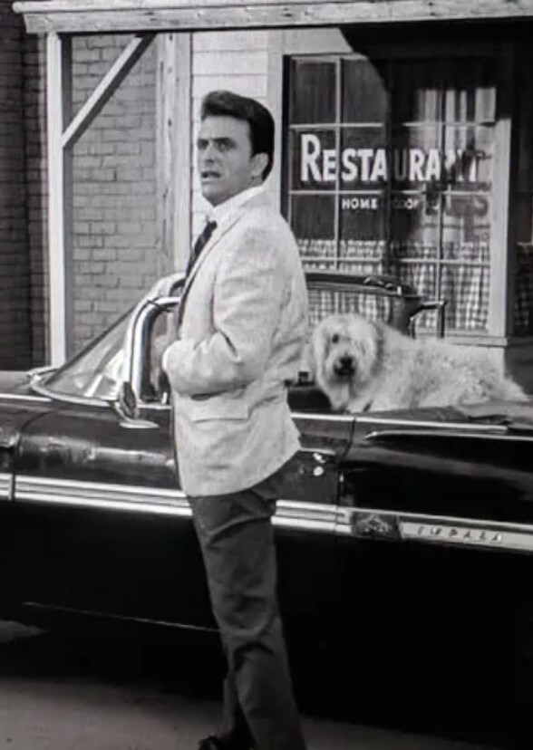 The Twilight Zone (1990s): 4x3 - Valley of The Shadow