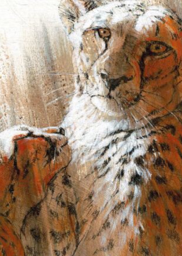 The Two Cheetahs 