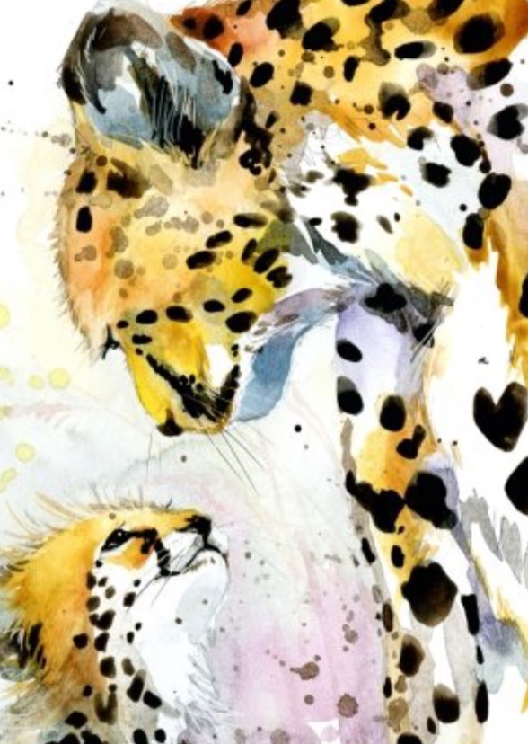 The Two Cheetahs: One Last Run