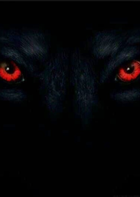 The Unseen Evil: From Saloth Sar to Beisac