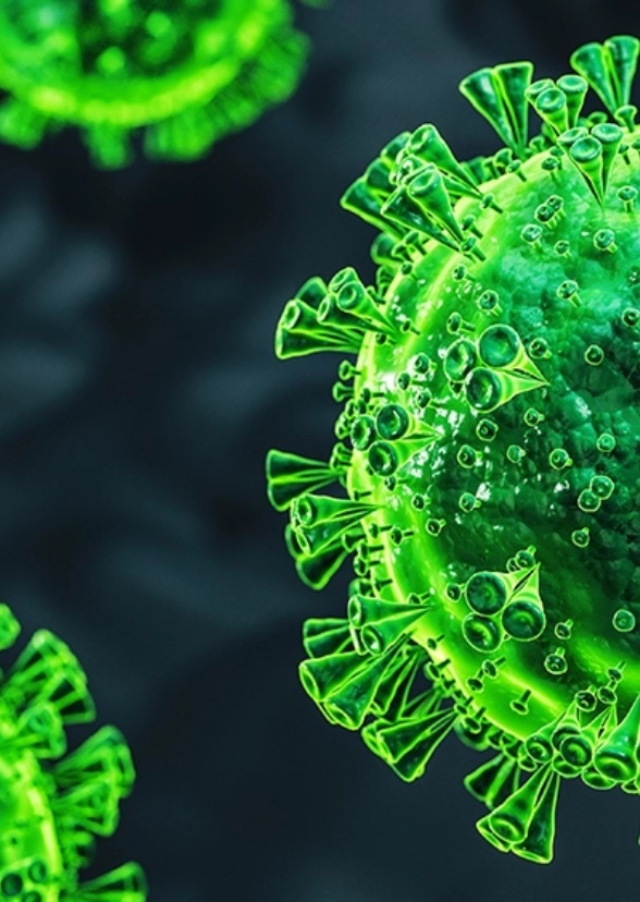 The Virus Movie