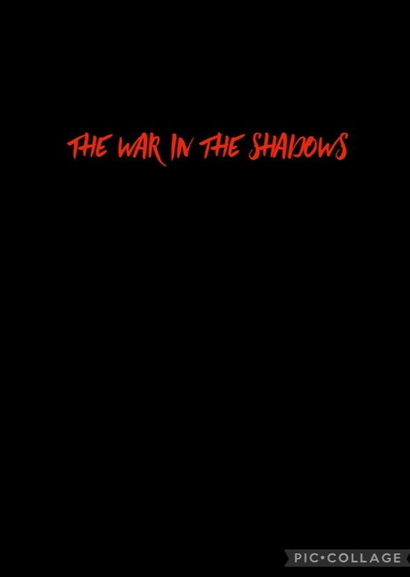 The war in the shadows 