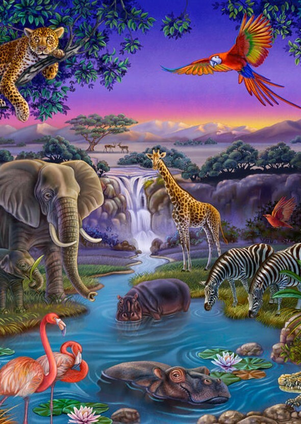 The Wild Life of Animals
