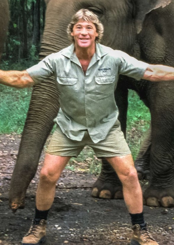 The Wildlife Defender
