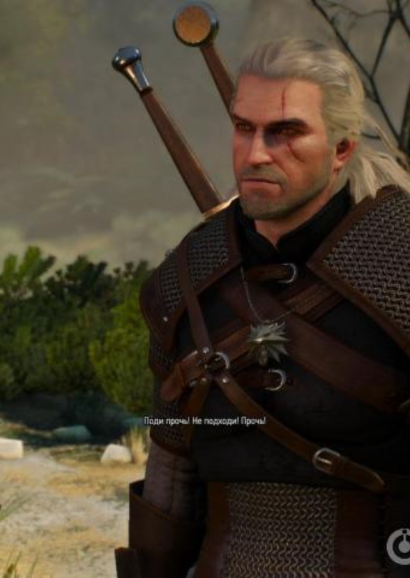 The Witcher 3. Wild Hunt - Ett spel för Windows