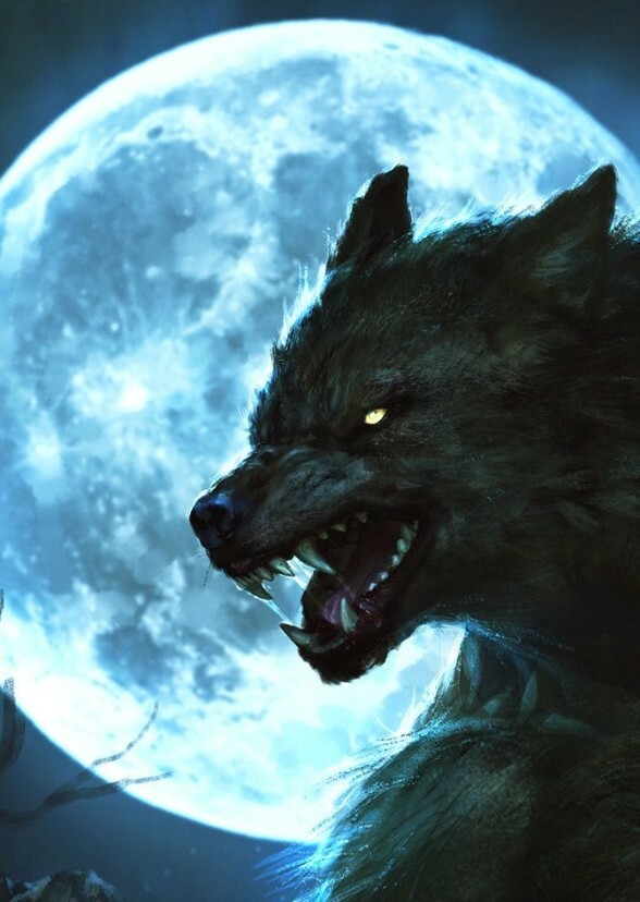 The Wolf Of The Blue Moon