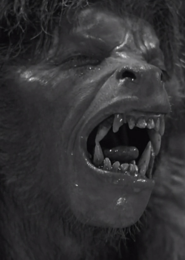 The Wolfman Kills