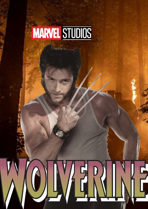 The Wolverine (2002)