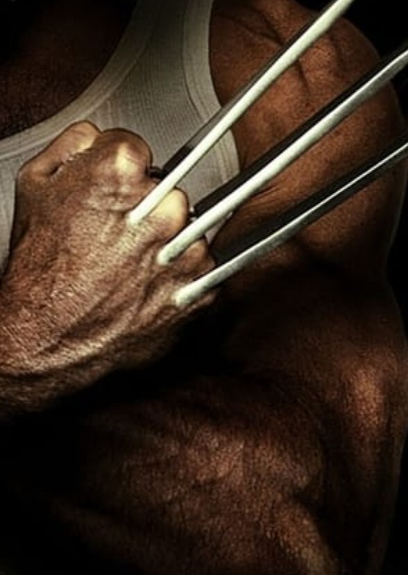 The wolverine