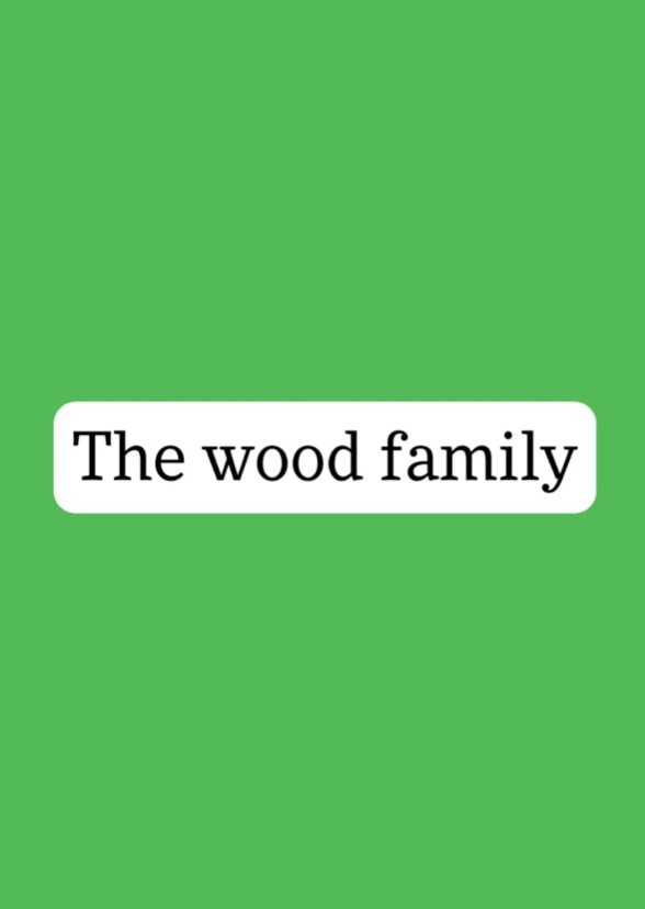 The Wood Family Fan Casting on myCast