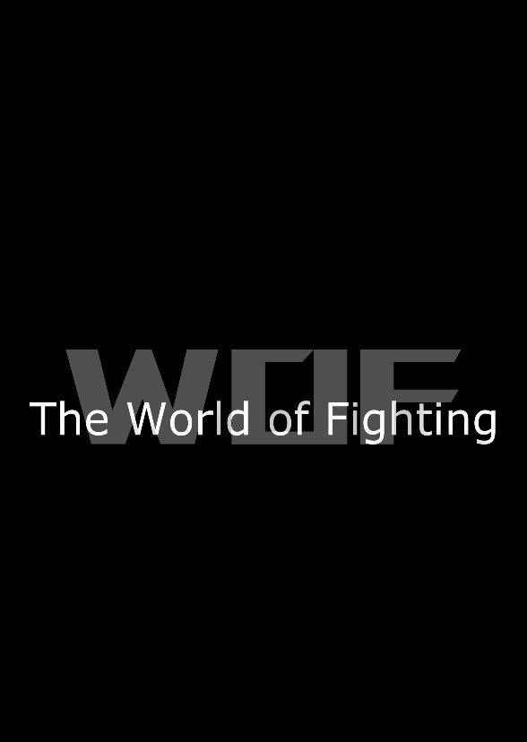 The World Of Fighting