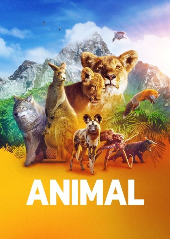 The Zoo Of Animals 