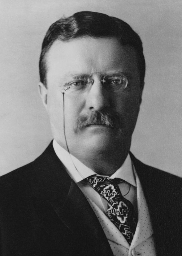 Theodore Roosevelt (2026 TV series)