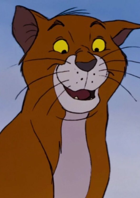 Thomas O'Malley from The Aristocats (1970)