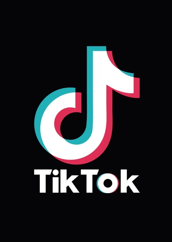 TikTokers Around the World