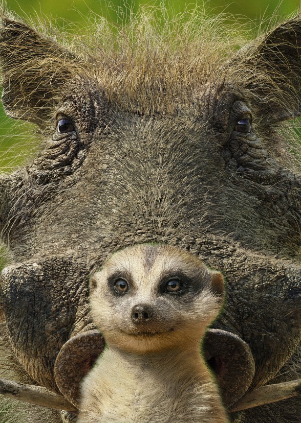 Disney's Timon and Pumbaa