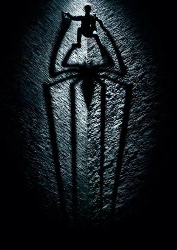 Timothée Chalamet's Spider-Man