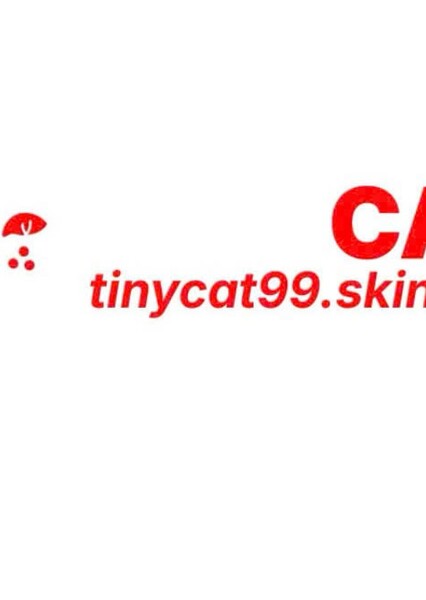 TINYCAT99 – Nhà cái lô đề online uy tín top #1, giải trí đỉnh cao mỗi ngày Fan Casting Poster