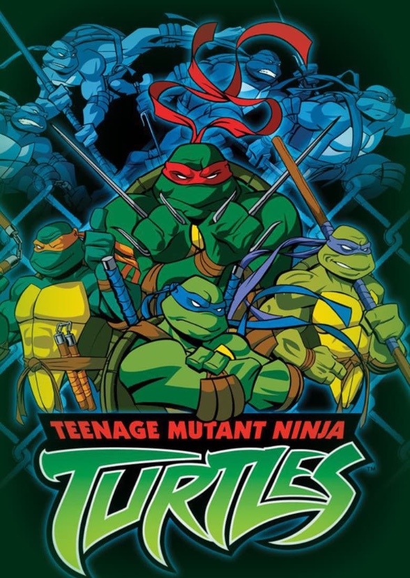 TMNT 2003 (Live Action TV Show)