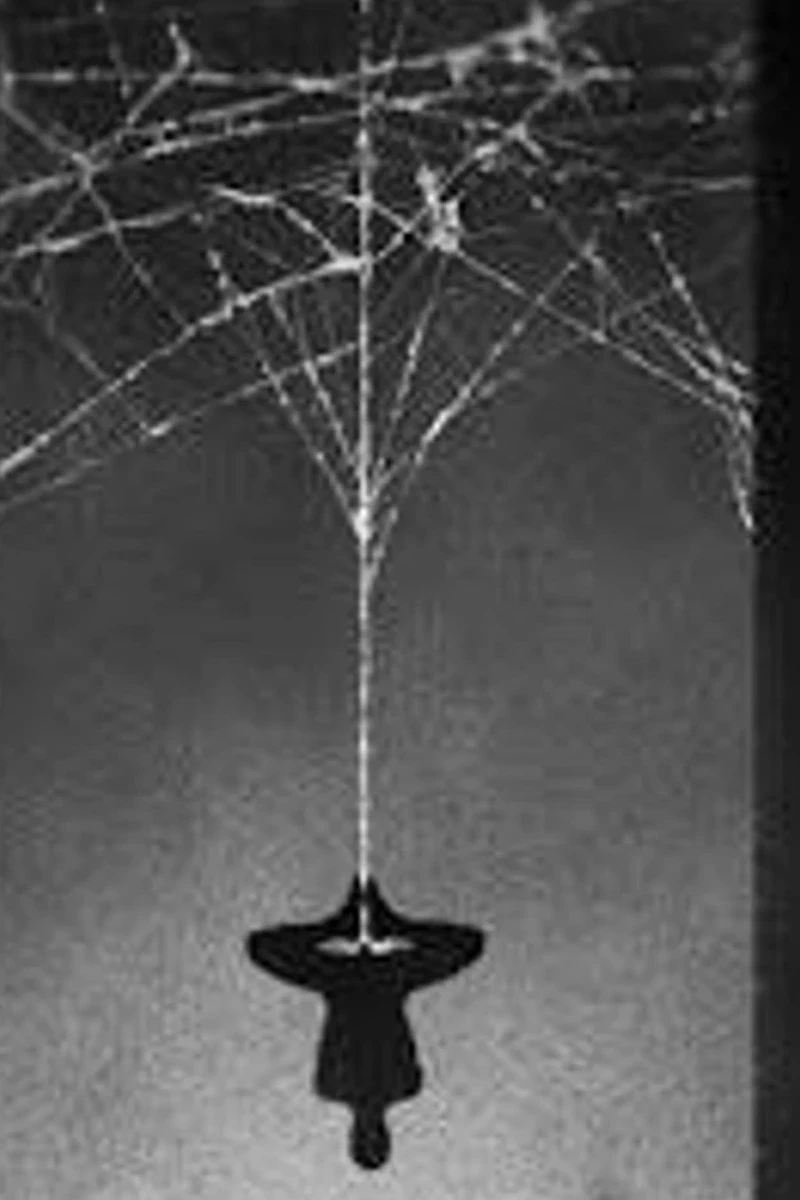 Tobe Hooper Spider-Man (1985)