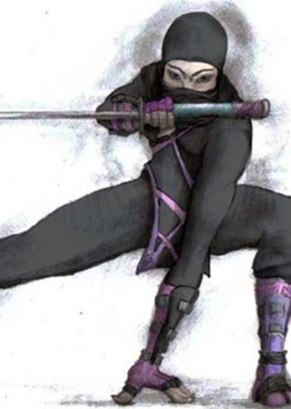 Tokah-Zar and the Ninja: Heroes Unite