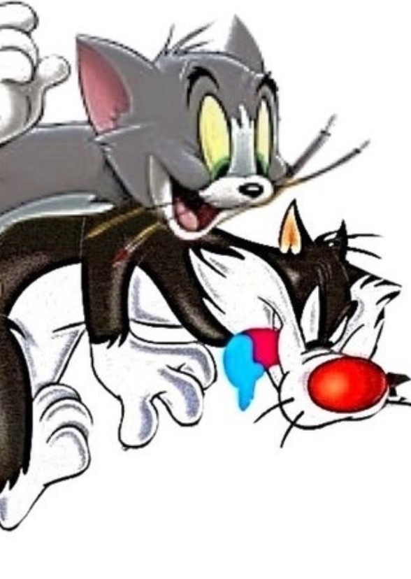 Toon Adventures: Cat To Order
