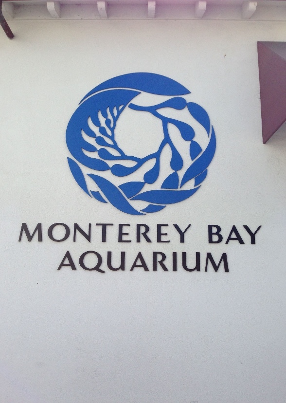 Toons Goes To Monterey Bay Aquarium 