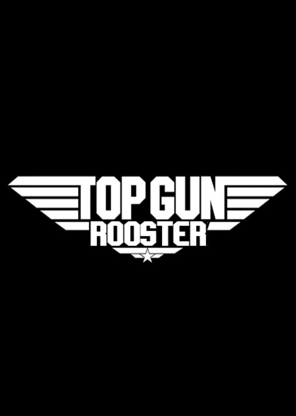 Top Gun: Rooster (2026 film)