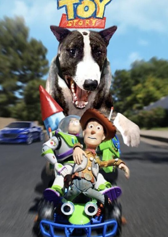 Toy Story Live Action Fan Casting On Mycast