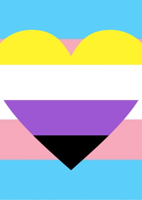 Trans Alliance
