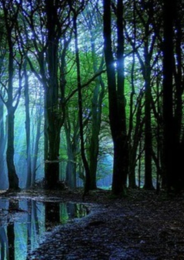 True to the Fairies 