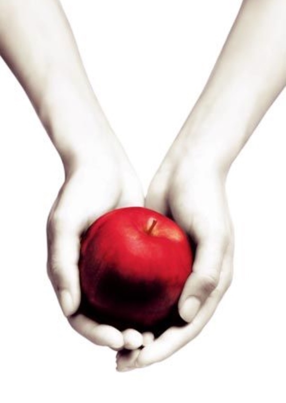 fan casting deborah ann woll as victoria in twilight on mycast