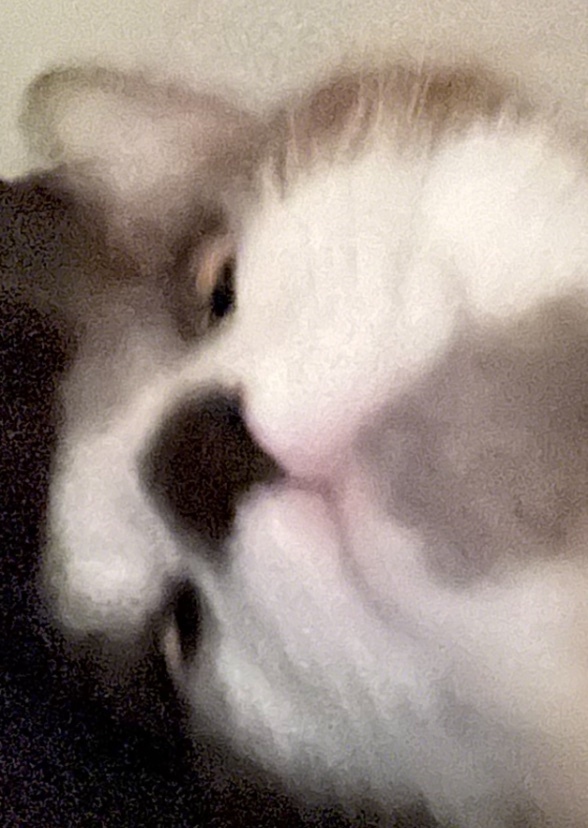 The power that binds us