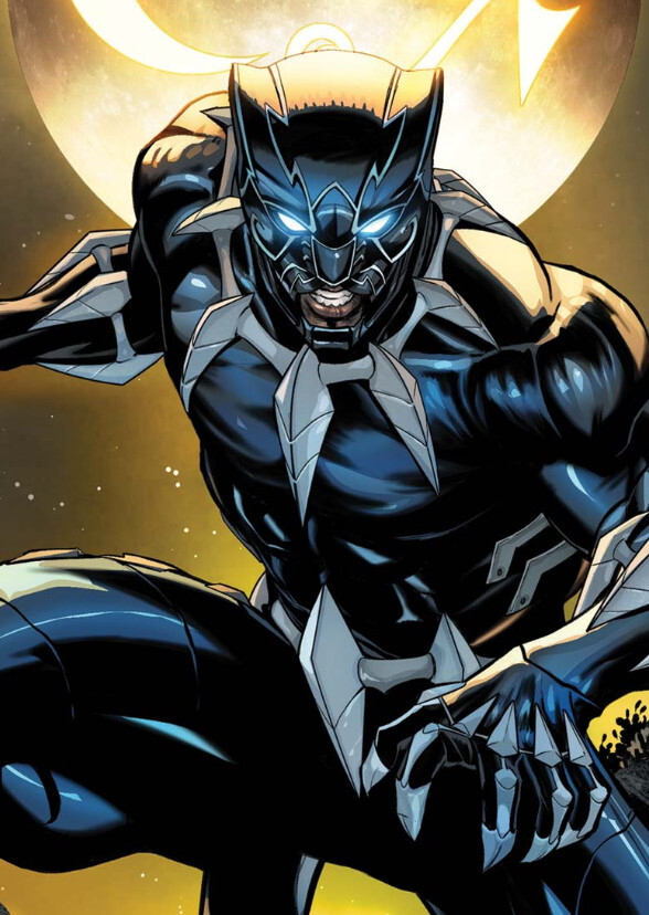Ultimate Black Panther: Part One - Peace & War