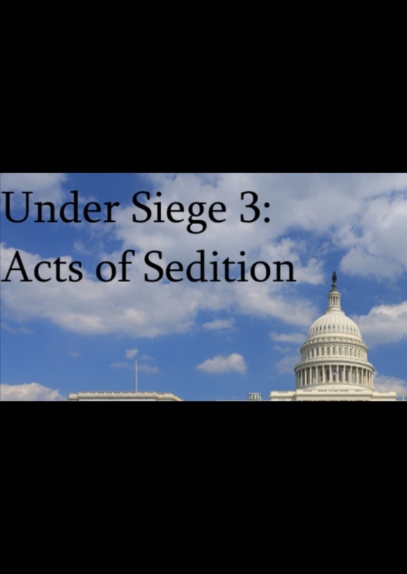 Under Siege 3: Acts of Sedation