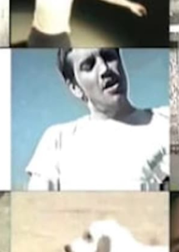 Lovingly, Niandra Lades: John Frusciante and Red Hot Chili Peppers
