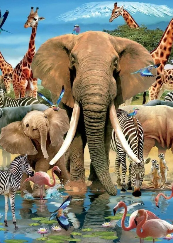 Universal Pictures: Wildlife and Nature