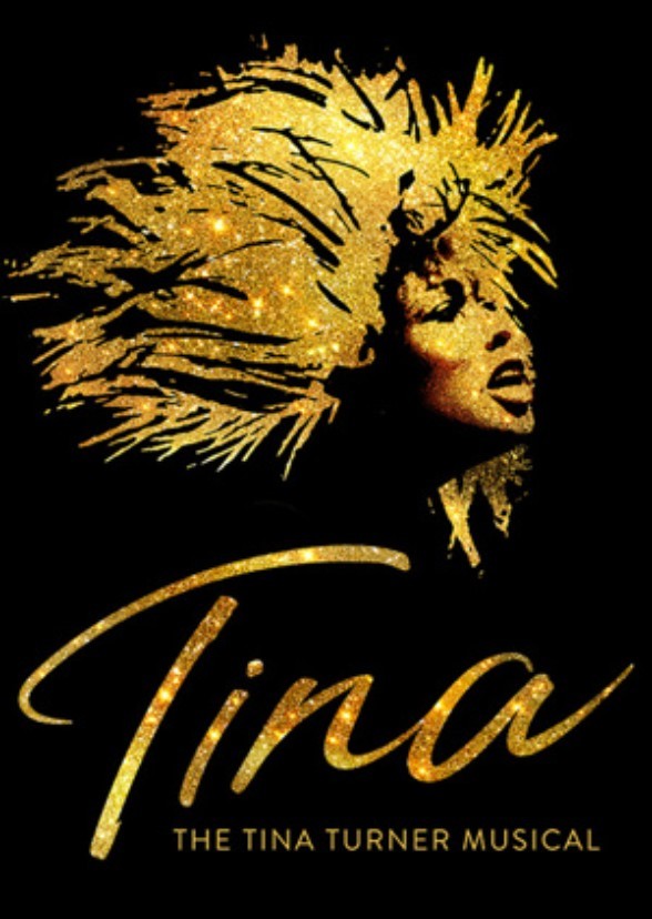 Untitled Tina Turner Biopic