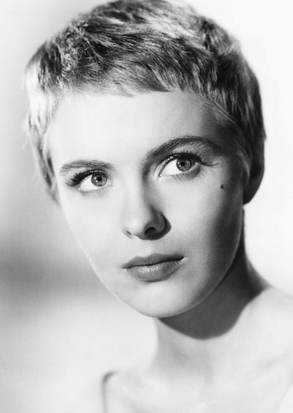 Unveiling the Untold: A Jean Seberg Biopic