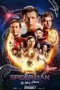 Spider-Man No Way Home (2021) The Multiverse Sage Rewrite