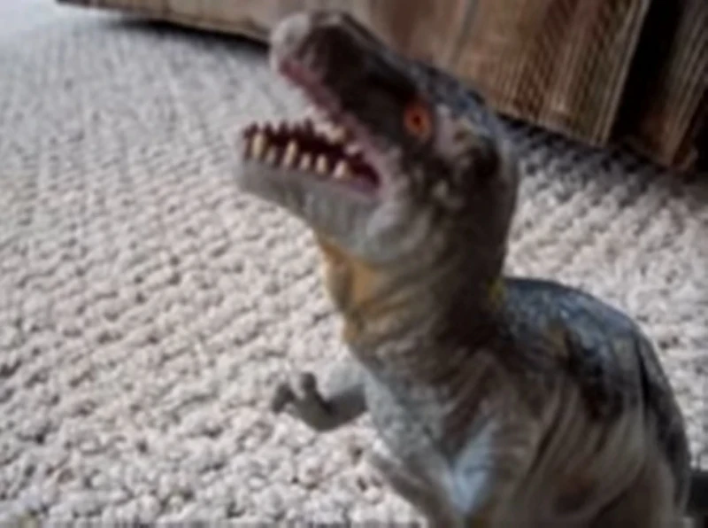 A Dinosaur's Life